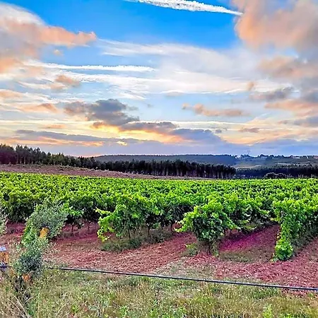 Historic Vineyard Retreat - 1785 Country In Peral Apartmán