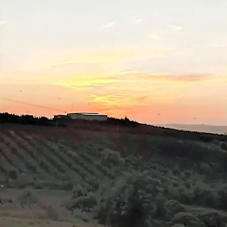 公寓 Historic Vineyard Retreat - 1785 Country In Peral *
