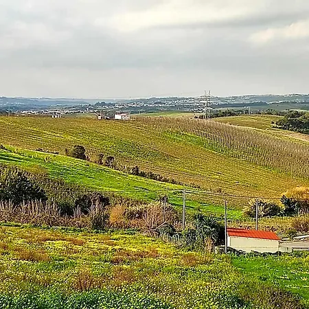 Historic Vineyard Retreat - 1785 Country In Peral 公寓 Cadaval